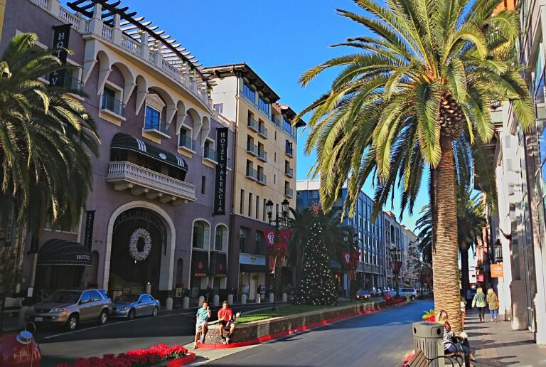 recent deaths in san jose, california